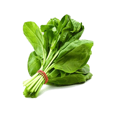 gratis-png-hoja-de-espinaca-verdura-pakora-acelga-verdura-thumbnail-removebg-preview gratis-png-hoja-de-espinaca-verdura-pakora-acelga-verdura-thumbnail-removebg-preview