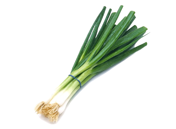 kisspng-allium-fistulosum-scallion-vegetable-chives-shallo-5aea7bcc938d56.9074691315253165566044-removebg-preview kisspng-allium-fistulosum-scallion-vegetable-chives-shallo-5aea7bcc938d56.9074691315253165566044-removebg-preview