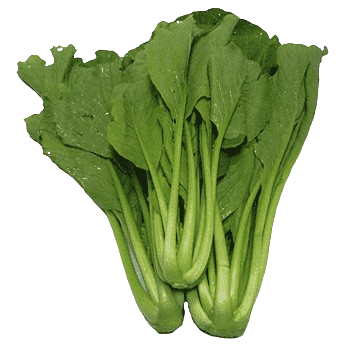 png-transparent-romaine-lettuce-choy-sum-chinese-broccoli-spring-greens-komatsuna-vegetable-leaf-vegetable-food-napa-cabbage-thumbnail-removebg-preview png-transparent-romaine-lettuce-choy-sum-chinese-broccoli-spring-greens-komatsuna-vegetable-leaf-vegetable-food-napa-cabbage-thumbnail-removebg-preview